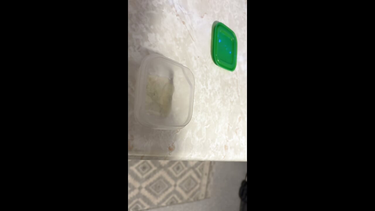 口交震动吸吮器润滑液收集器