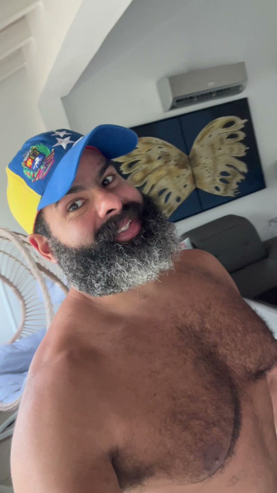 Hello Bears