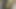 Black ebony outdoor content2