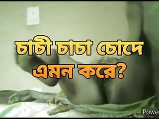 Bangladeschisches heißes mädchen mit dickem arsch in sari wird vom freund des ehemanns hart gefickt