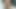Sucking my dream boy's huge uncut dick and masturbating myself