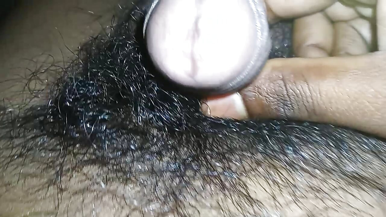 인도 자지