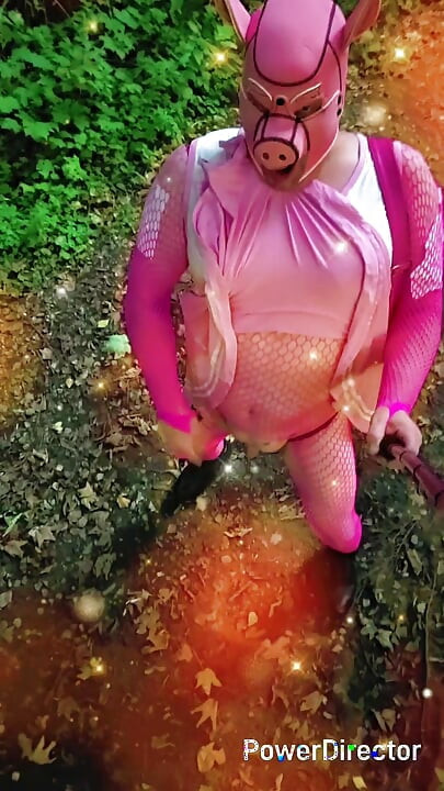 Debela sissy svinja