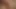 Goldenpussy 88