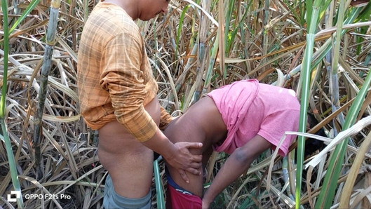 Gay indien - trois étudiants d’un petit village baisent avec une vraie fille dans les champs