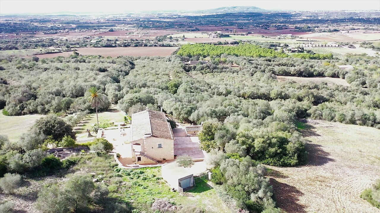 Curvele excitate se fut mai bine pe Vacation_4k