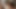 美しいニューハーフ、剛毛熟女、そして3人の男が素晴らしい乱交パーティーを楽しむ