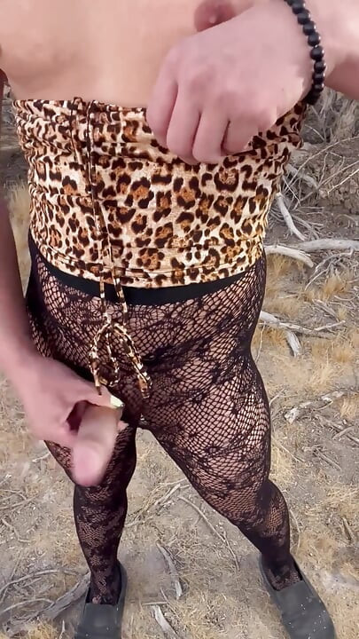 Desert Fun