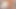 Monster Hard Shemale Cock On Solo Masturbation
