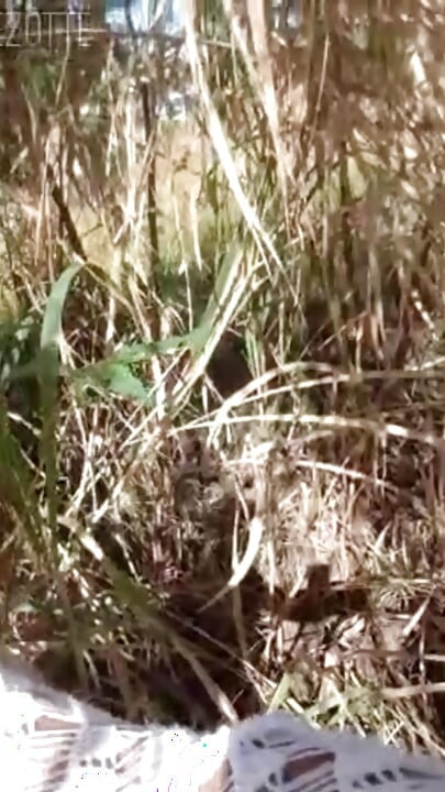 Ovdje ćete pronaći način da održite svoj seksualni nagon