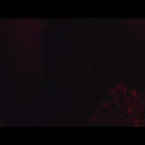 Homegrown - Instagram (Suck Off)