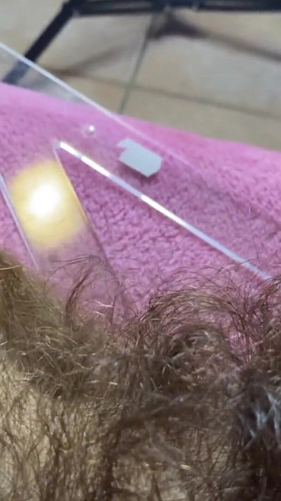 Memorable moment from "hairy bush measurement closeup"