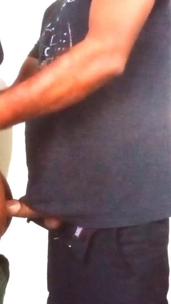 Pregled videozapisa