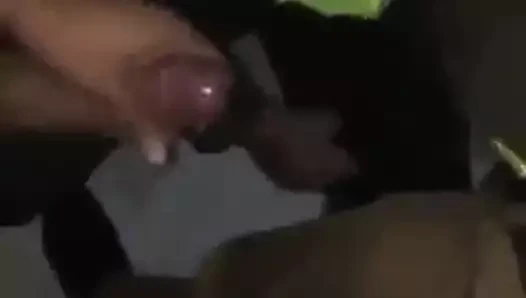 A police gay sucks two cocks