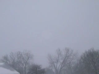 snow from 2-21-2013