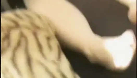 İki seksi hatun birbirlerinin amını tatmin ediyor