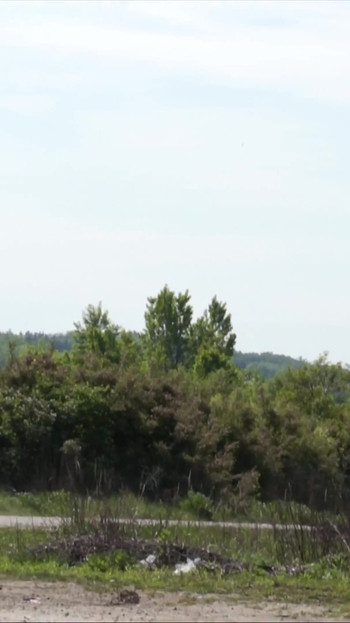 Jízda pro šukání - Veronica