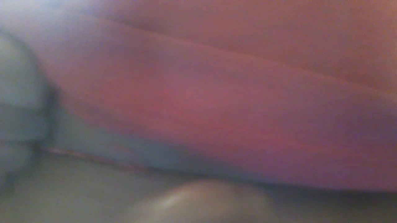 Penis