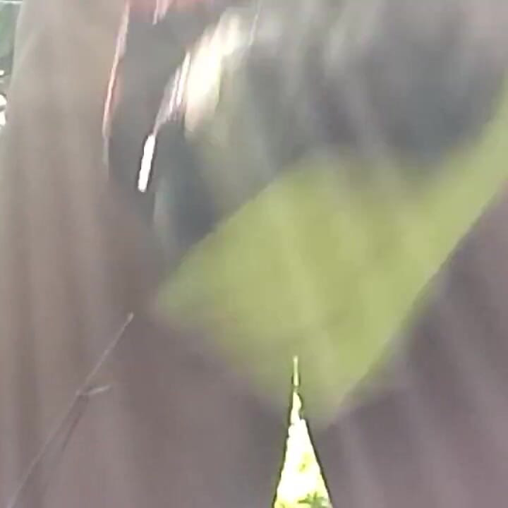 The Tight Hole of the Banana Tree Is Delicious