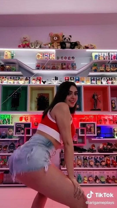 Arigameplays Sexy PerreO TikTok