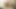 TRANSEROTICA TS Lianna Lawson Blows Panty Sniffing Twink