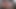 Big Christmas Present for Hot Neighbor MILFs