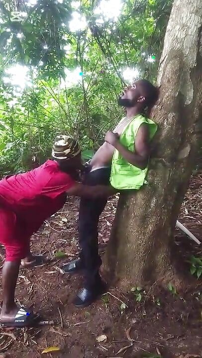 Meet Him on a Good Day in the Bush