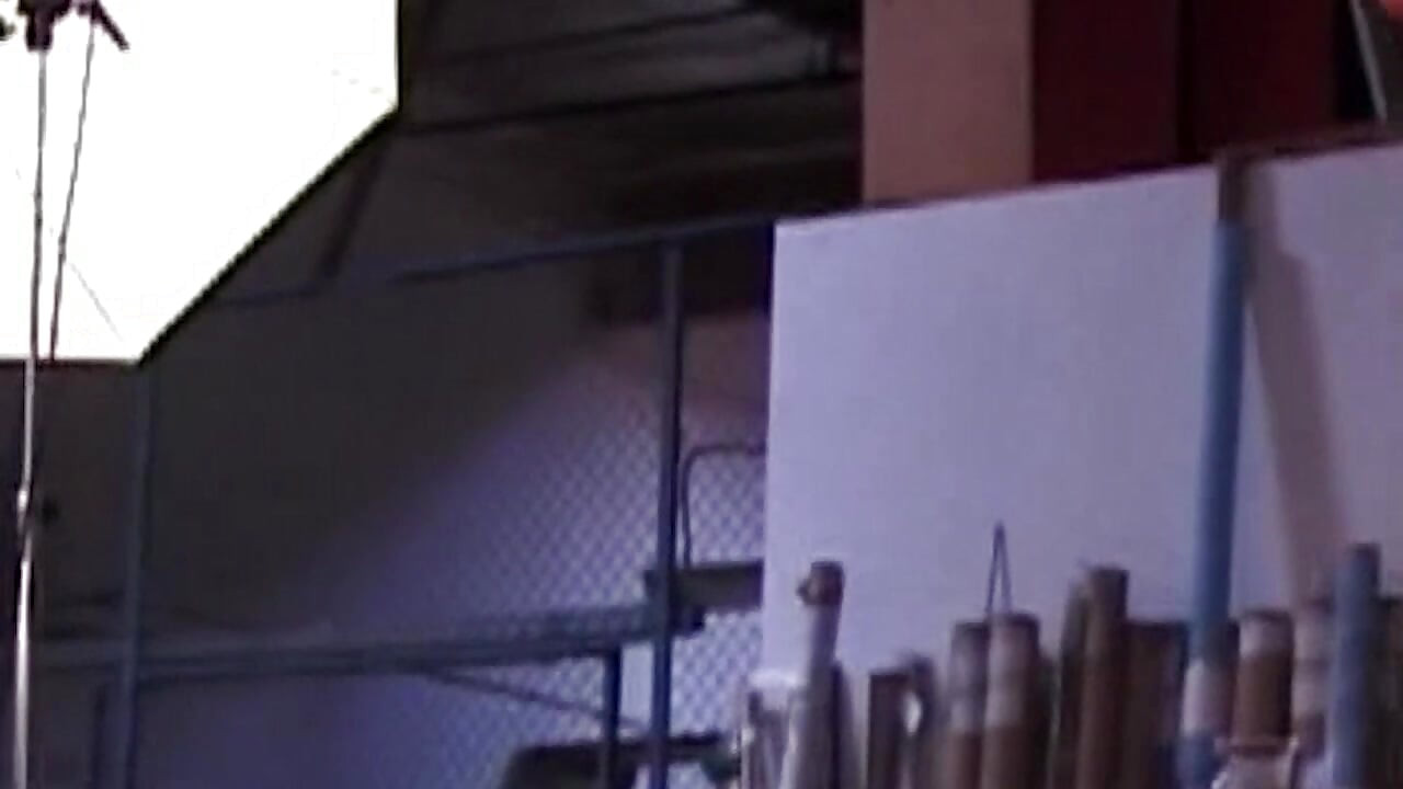 It's My Party Vol. 1 - Heiße Sexabenteuer