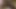 My Stepsis suck and sit on my Face & I cum inside her pussy