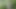Man outside in the woods in just t-shirt and black boxer briefs strips and wanks his shaved uncut soft penis