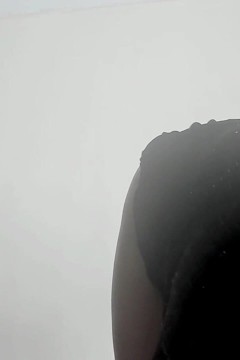 Are You an Ass Guy?