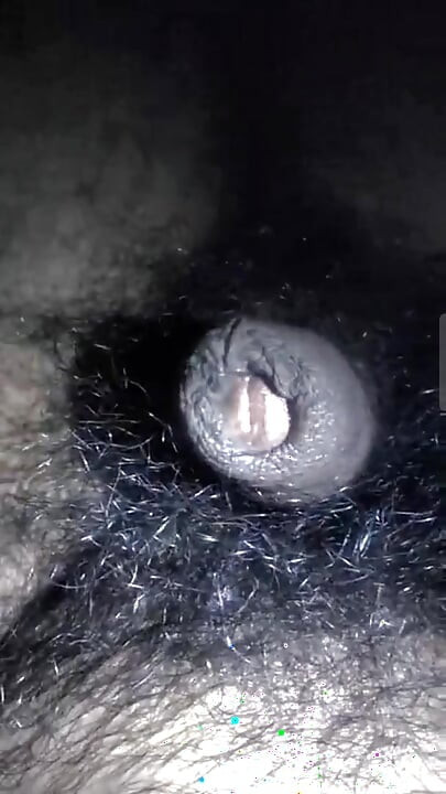 My dick is hungry for pussy and asshole