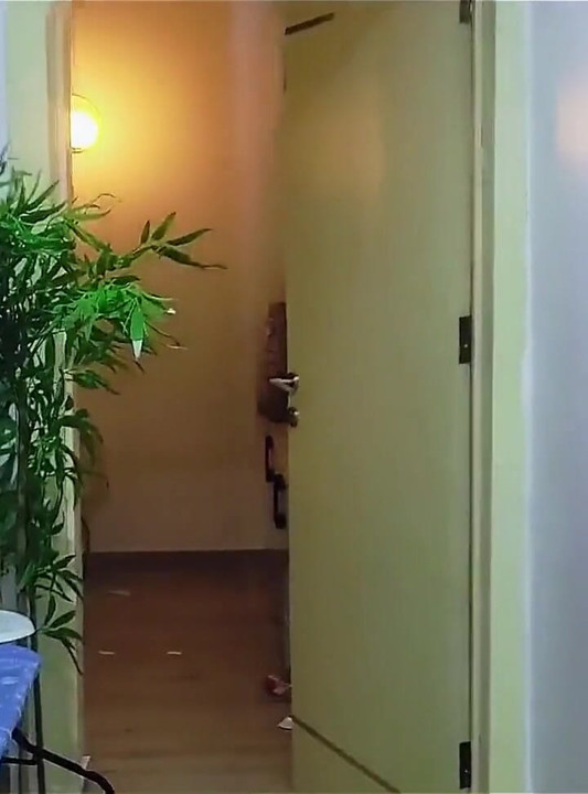 Petite Teenage Pornstar Allow the Hotel Manager to Free Use Her Tight Pussy
