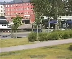 Swedish Amateur