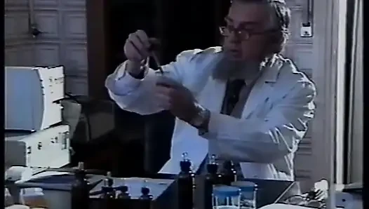 Metamorfosis (1995)