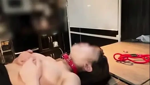 Asian Angel 27646