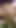 Must-see moment from "Gorgeous golden shower from a lovely lady"