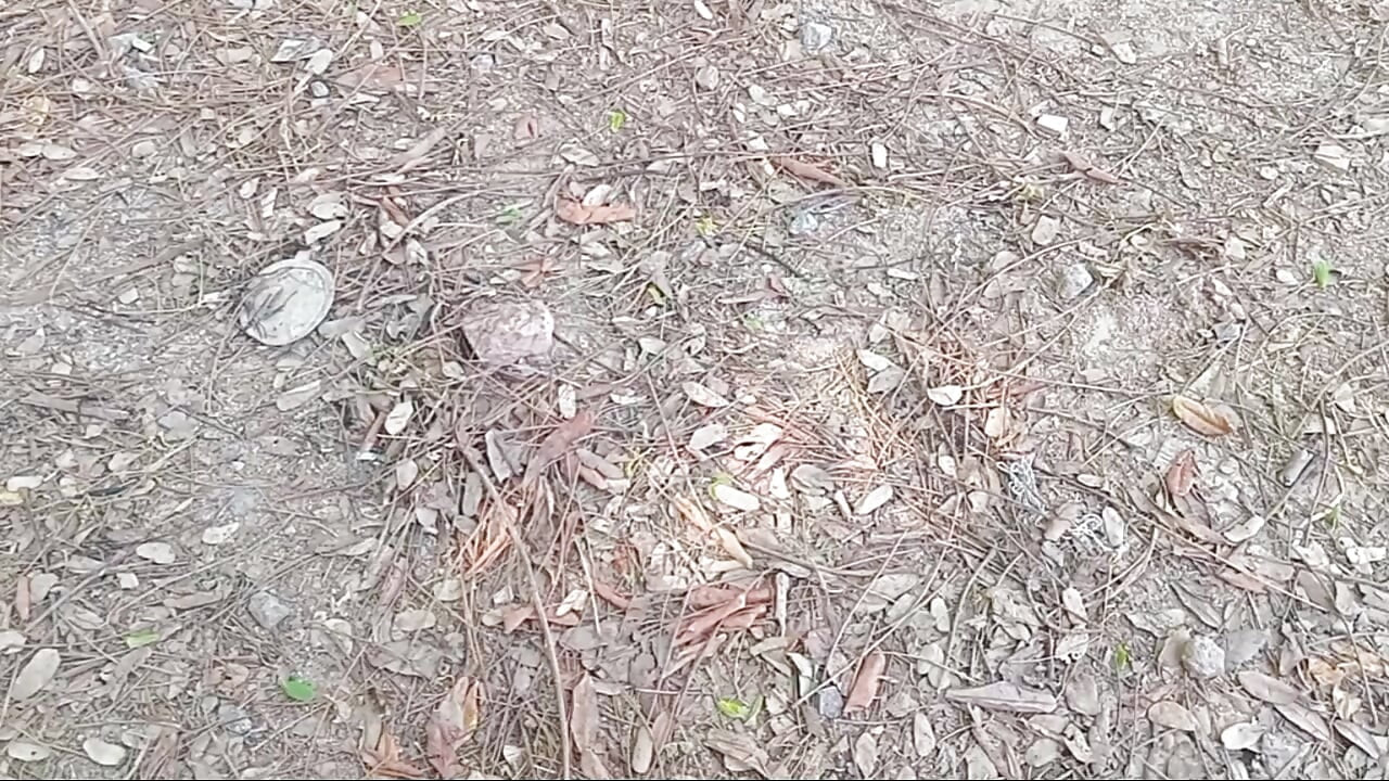 QUENTE INDIANA COM INDIANA DESI 18 + VÍDEOS DE SEXO