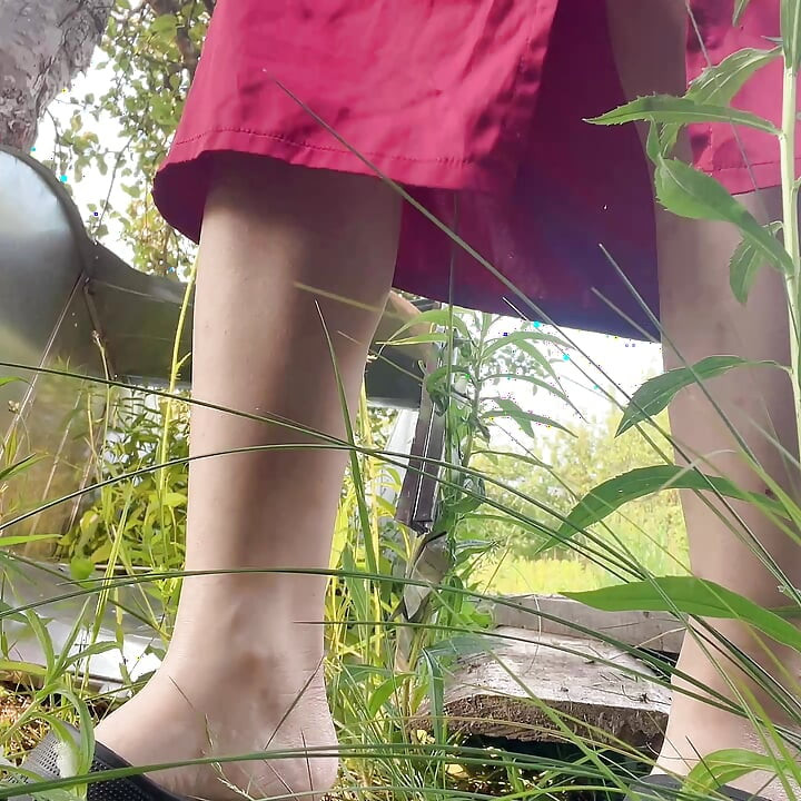 piss pee hana outside yard