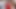 Riesige Möpse wackeln mit riesigem Dildo p5
