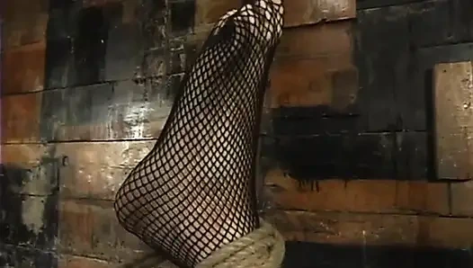 Кошечка Trixie