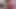 Sweetheart Dani Daniels Eats out Asian MILF