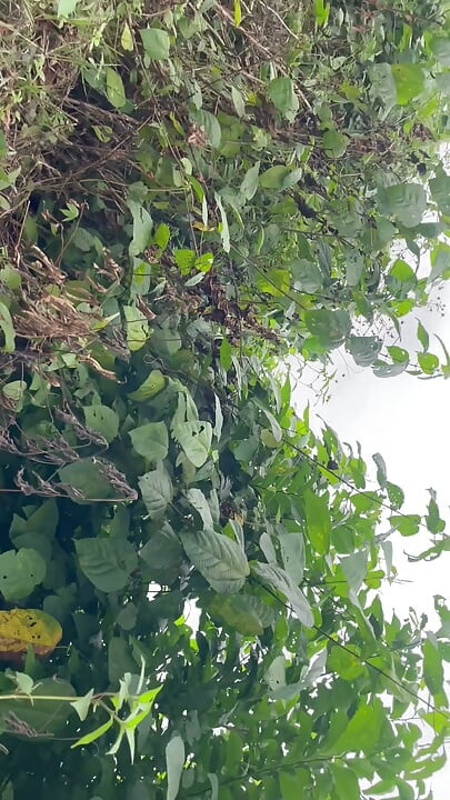 فتاة ممتلئة مع رجل بلطجي