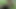 Yeni Hintli Müslüman ilk kez liseli kız desi Müslüman kız seks videosu ve erkek arkadaş desi seks Hintli seks ve xvideo seks