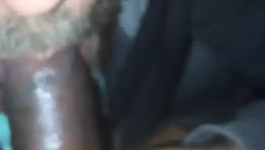 kamyoncu berbat küçük siyah horoz
