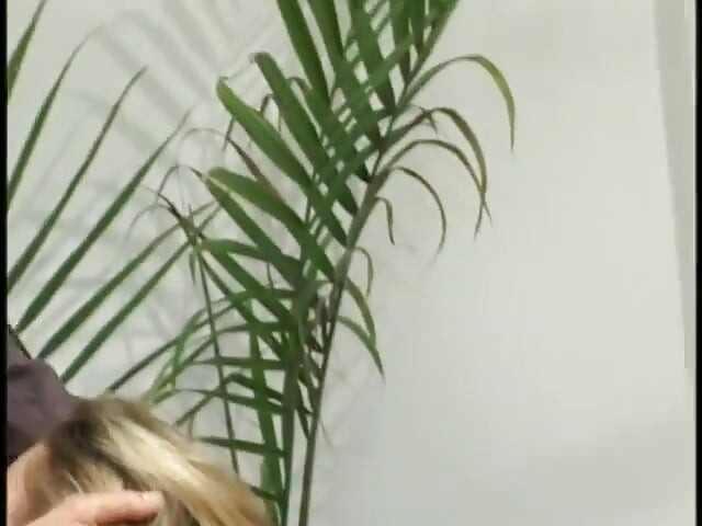 Old stud gets his hard thick cock sucked by horny blonde slut then fucks her