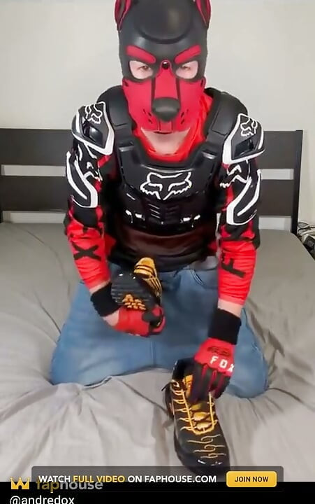 Sneakers Puppy! Nike Tn