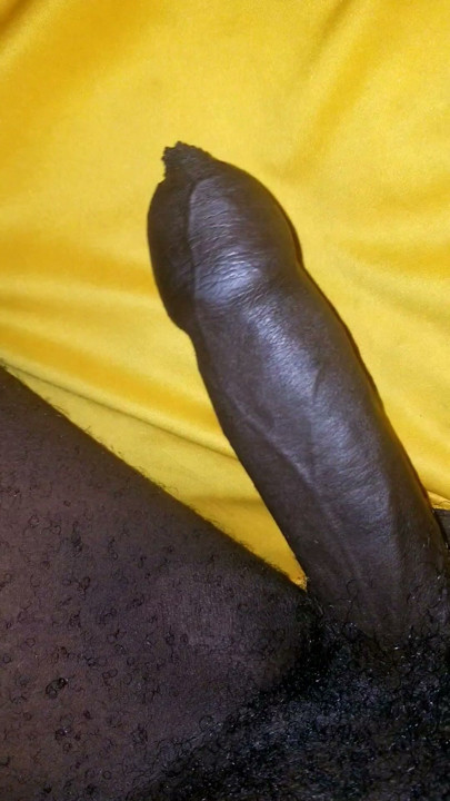 Average dick will go inside pussy