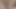 Abanoz yukarı yakın pov ıslak kedi sesleri