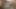 الملاك الآسيوي 25266